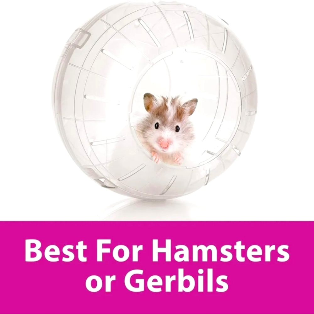 Small Pet 7-Inch Run-About Ball - KAYTEE, Clear